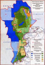 Карта Кургальского заказника с массовыми вырубками леса